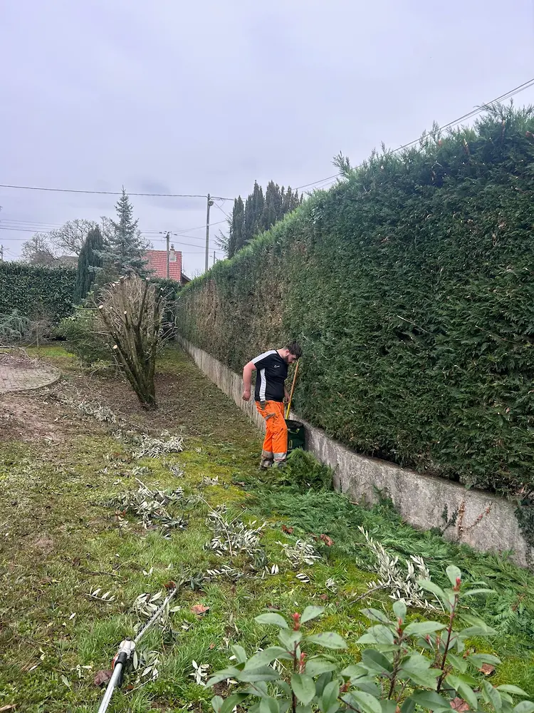 Intervention d'élagage par Brun Élagage en Haute-Savoie